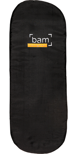 BAM IC-0045