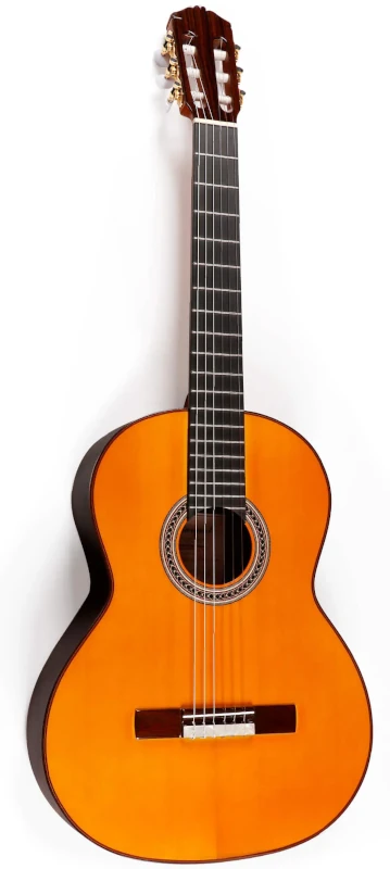 Amalio Burguet Negra Cutaway