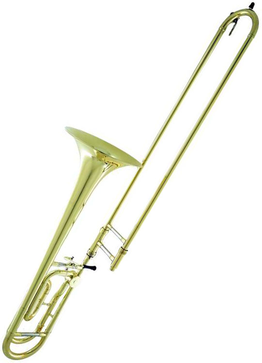 CarolBrass CTB-3019-YSS-YYNY-Y1