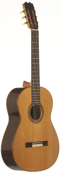 Conde Hermanos AC23/R Cedar Madagascar