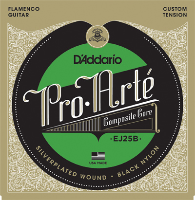 D'Addario Pro-Arté EJ25B