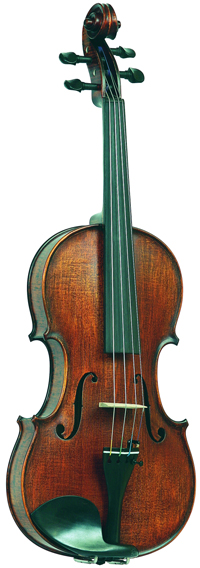 Gliga Gems1 AW-V044-SG