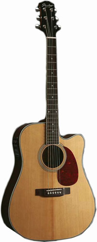 Peerless PD-55CE