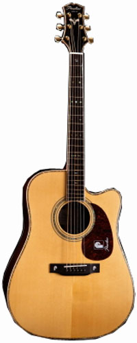 Peerless PD-80CE