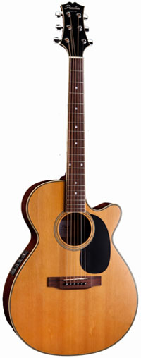 Peerless PGA-50CE