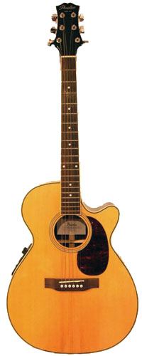 Peerless PGA-55CE