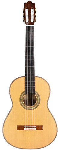 Sergio Pérez Aranjuez Abeto