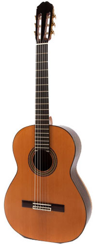 Raimundo 129 Cedar
