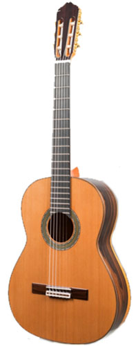 Raimundo 131 Cedar