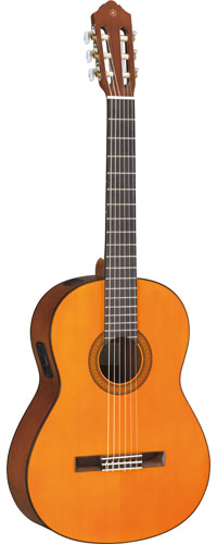 Yamaha CGX102