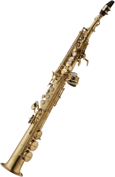 Yanagisawa S-WO10