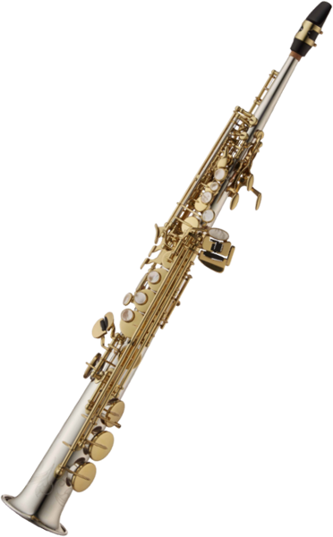 Yanagisawa S-WO3